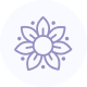 Mandala icon